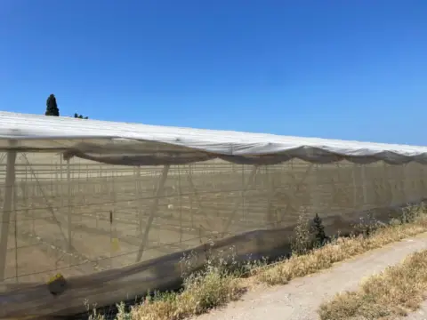 Finca rústica en Pueblo Nuevo
