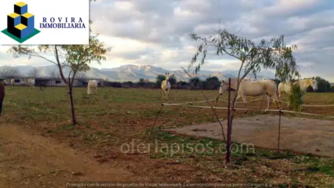Finca rústica en calle Coveta Dels Gats
