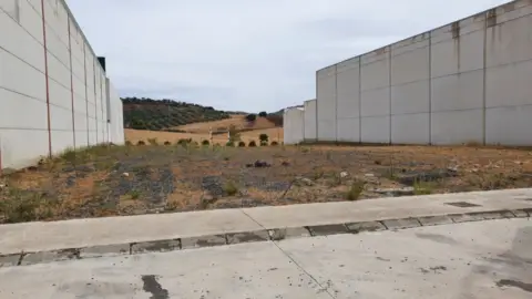 Terreno en calle Gerardo Diego, 8