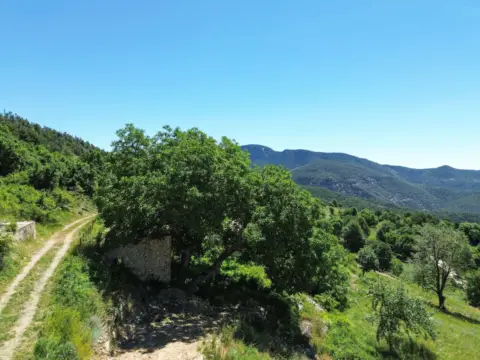 Finca rústica en calle Caseta del Boixader