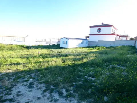 Terreno en Cortijo de Maza-Finca Monsálvez-El Olivar