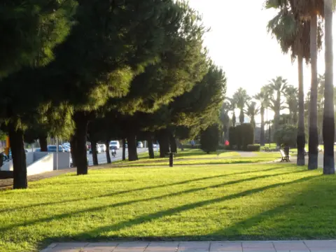 Local comercial en Avenida de Andalucía, 2