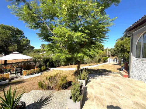 Finca rústica en Urbanización los Pinos de Valverde, nº 1