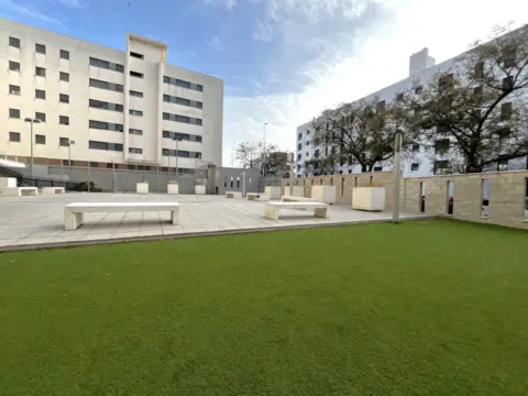 Piso en calle Doctor Juan Nicolas Dominguez