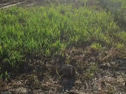 Terreno en Norte
