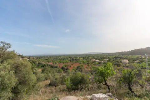 Casa unifamiliar en Lloseta
