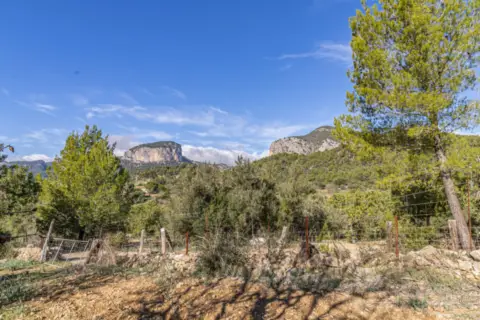 Finca rústica a Alaró