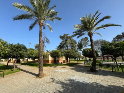 Terreno en Nueva Alcalá