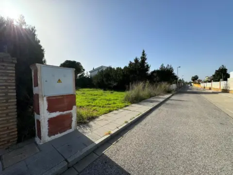 Terreno en Nueva Alcalá