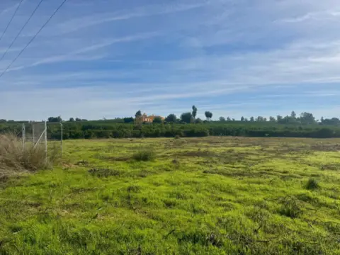 Terreno en calle de la Cierva