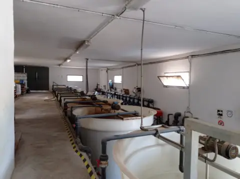 Finca rústica en Adra