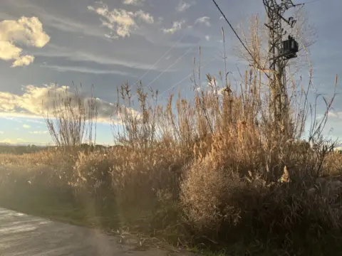 Finca rústica en Camino de la Laguna