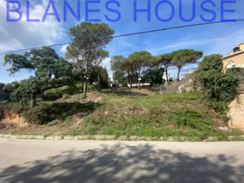 Terreno en calle Eucaliptos
