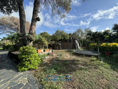 Casa en Carrer de la Selva, 777