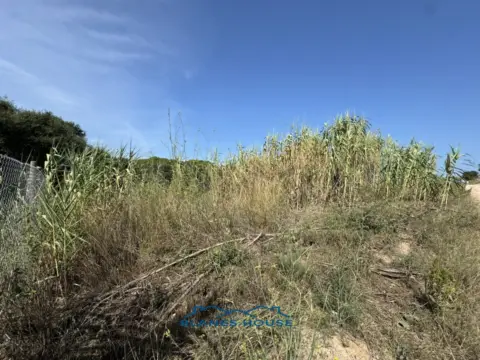 Finca rústica en calle La Julia, nº 16