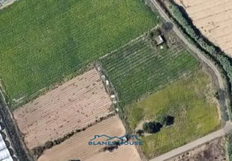 Finca rústica en calle Rec de Viver, nº 24