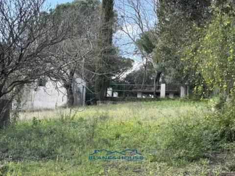 Casa en Avinguda dels Arbres, nº 0´