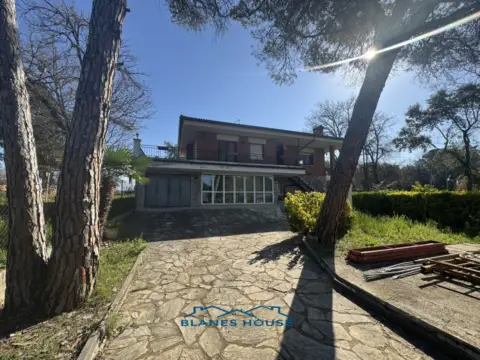 Casa en Carrer de l'Eucaliptus