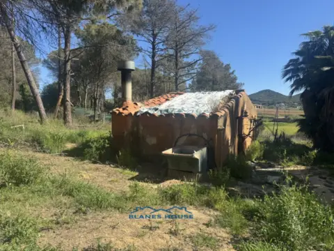 Finca rústica en calle Bosch Rabasa, nº 1