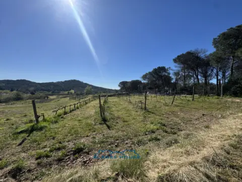 Finca rústica en calle Bosch Rabasa, nº 1