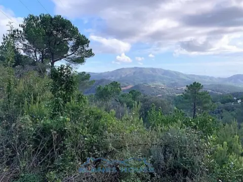 Terreno en Avinguda Ocells, 83