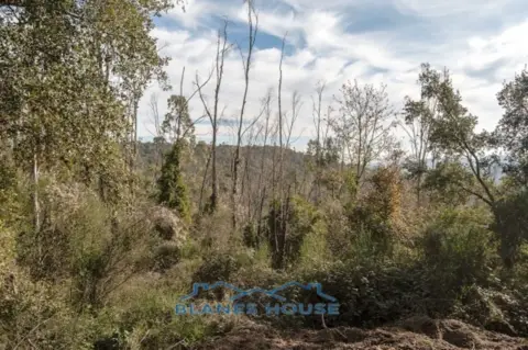 Terreno en calle Lg Selva/L´Esparra, nº S/N