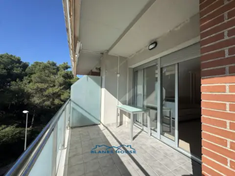 Piso en Avinguda Europa