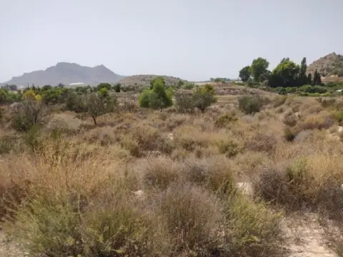 Terreno en Carrera Verdegas, 8