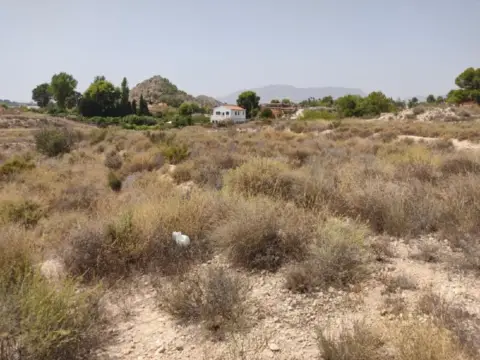 Terreno en Carrera Verdegas, 8