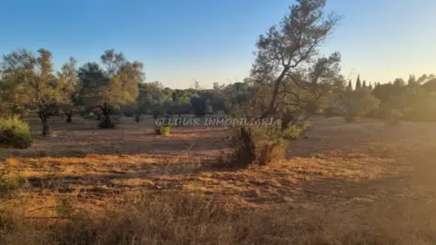 Finca rústica en Navahermosa