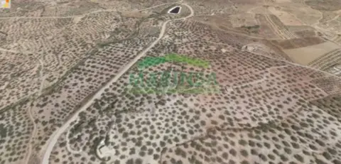 Terreno en Camino de Velez, 1