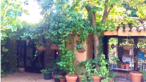 Chalet pareado en calle de los Pinos