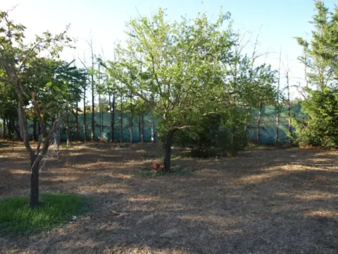 Chalet en Urbanización Viñas Viejas Polígono 2