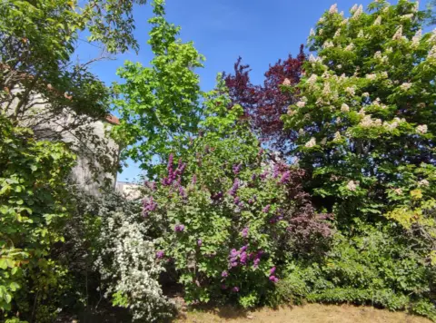 Casa adosada en calle de Parrillanos