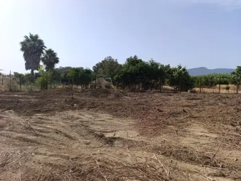 Terreno en Camino de la Estación de Campanillas