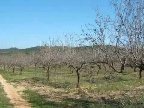 Finca rústica en Rasquera