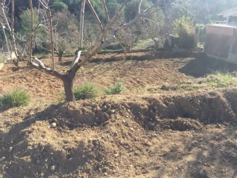 Terreno en Can Mir