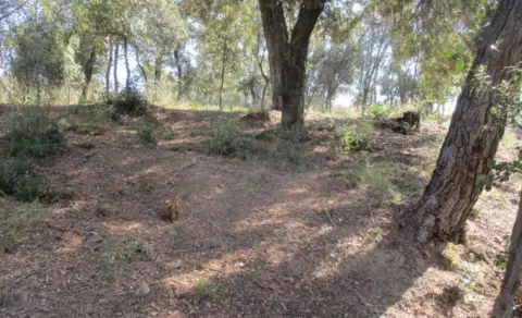Terreno en Carrer de la Pedrera, 21