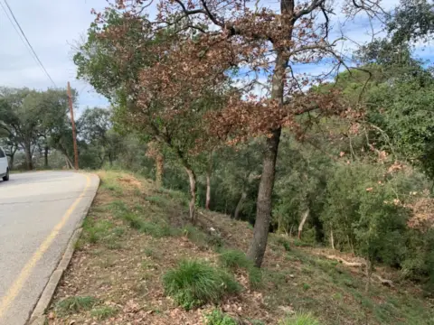 Terreno en Carrer de la Llanega Blanca, 900