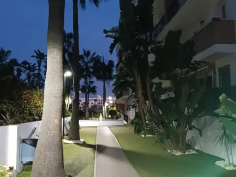 Piso en calle Rector Salvador Vila Hernandez