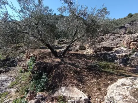 Finca rústica en calle del Mimbre