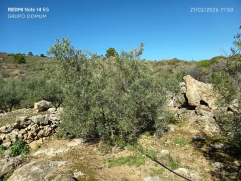 Finca rústica en calle del Mimbre