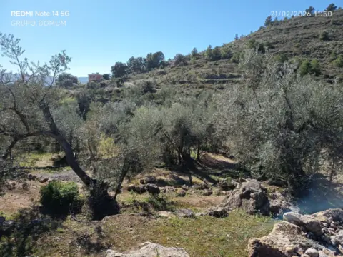 Finca rústica en calle del Mimbre
