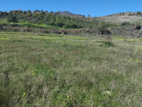Finca rústica en Avenida Motril