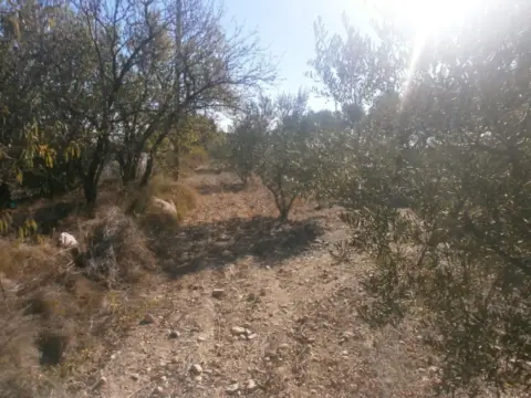 Terreno en Camí de Castellvell