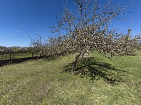Finca rústica en Travesía de Filgueiroa