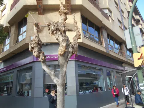 Oficina en Avenida de Madrid, 3