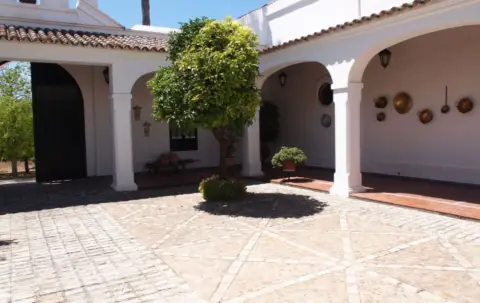 Finca rústica en Carretera de Valencina de la Concepción