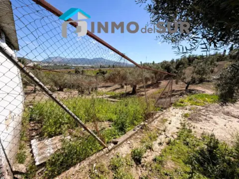 Finca rústica en Carretera Lucena-Doña Mencía