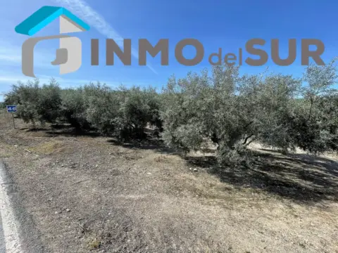 Finca rústica en Cerro del Lagar